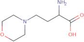 2-Amino-4-(morpholin-4-yl)butanoic acid