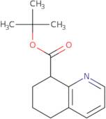 5,6,7,8-Tetrahydro-quinoline-8-carboxylic acid tert-butyl ester