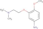 3-[2-(dimethylamino)ethoxy]-4-methoxyaniline