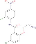 2-(2-Aminoethoxy)-5-chloro-N-(2-chloro-4-nitrophenyl)benzamide