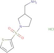 [1-(Thiophene-2-sulfonyl)pyrrolidin-3-yl]methanamine hydrochloride