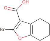 2-Bromo-4,5,6,7-tetrahydrobenzofuran-3-carboxylic acid