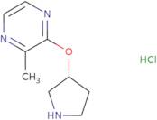 2-Methyl-3-(pyrrolidin-3-yloxy)pyrazine hydrochloride