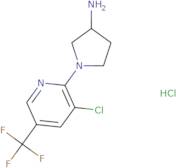 1-(3-Chloro-5-trifluoromethyl-pyridin-2-yl)-pyrrolidin-3-ylamine hydrochloride