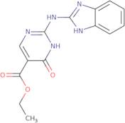 Ethyl 2-(2-benzimidazolylamino)-6-oxo-1,6-dihydropyrimidine-5-carboxylate