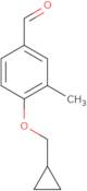 4-(Cyclopropylmethoxy)-3-methylbenzaldehyde