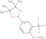 2-[4-Methoxy-3-(trifluoromethyl)phenyl]-4,4,5,5-tetramethyl-1,3,2-dioxaborolane