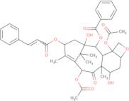 13-o-Cinnamoylbaccatin III