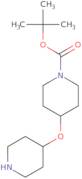 4-(Piperidin-4-yloxy)-piperidine-1-carboxylic acid tert-butyl ester