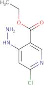 Ethyl 6-chloro-4-hydrazinylpyridine-3-carboxylate