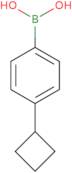 (4-Cyclobutylphenyl)boronic acid