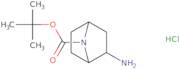 tert-Butyl rac-(1S,2R,4R)-2-amino-7-azabicyclo[2.2.1]heptane-7-carboxylate hydrochloride