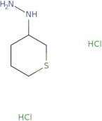 (Thian-3-yl)hydrazine dihydrochloride