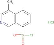 4-Methylisoquinoline-8-sulfonyl chloride hydrochloride