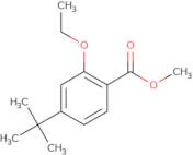 4-Tert-Butyl-2-Ethoxy-Benzoic Acid Methyl Ester