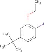 -4(Tert-Butyl)-2-Ethoxy-1-Iodobenzene