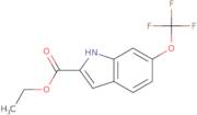 Ethyl 6-(trifluoromethoxy)-1H-indole-2-carboxylate