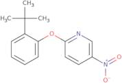 2-(2-tert-Butylphenoxy)-5-nitropyridine