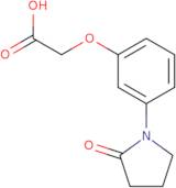 2-[3-(2-Oxopyrrolidin-1-yl)phenoxy]acetic acid