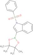 1-(Phenylsulfonyl)-3-indoleboronic acid, pinacol ester