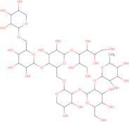 Heptamaloxyloglucan