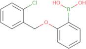 2-(2²-Chlorobenzyloxy)phenylboronic acid