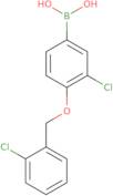 3-Chloro-4-(2'-chlorobenzyloxy)phenylboronic acid