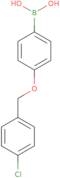 4-(4'-Chlorobenzyloxy)phenylboronic acid