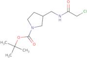 3-[(2-Chloro-acetylamino)-methyl]-pyrrolidine-1-carboxylic acid tert-butyl ester