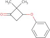 2,2-Dimethyl-3-phenoxycyclobutan-1-one