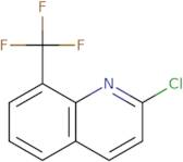 2-Chloro-8-(trifluoromethyl)quinoline