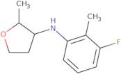 N-(3-Fluoro-2-methylphenyl)-2-methyloxolan-3-amine