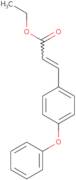 (2E)-3-(4-Phenoxyphenyl)-2-propenoic acid ethyl ester