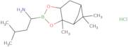 (Αs,3aS,4S,6S,7aR)-hexahydro-3a,8,8-trimethyl-α-(2-methylpropyl)-4,6-methano-1,3,2-benzodioxaborole-2-methanamine hydrochloride