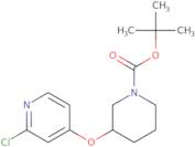 tert-Butyl 3-(2-chloropyridin-4-yloxy)piperidine-1-carboxylate