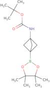 tert-Butyl N-[3-(4,4,5,5-tetramethyl-1,3,2-dioxaborolan-2-yl)-1-bicyclo[1.1.1]pentanyl]carbamate