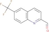 6-(Trifluoromethyl)quinoline-2-carbaldehyde