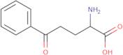 2-Amino-5-oxo-5-phenylpentanoic acid