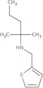 (2-Methylpentan-2-yl)(thiophen-2-ylmethyl)amine