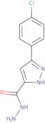 5-(4-Chlorophenyl)-1H-pyrazole-3-carbohydrazide