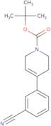 tert-Butyl 4-(3-cyanophenyl)-3,6-dihydropyridine-1(2H)-carboxylate