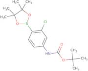 tert-Butyl (3-chloro-4-(4,4,5,5-tetramethyl-1,3,2-dioxaborolan-2-yl)phenyl)carbamate