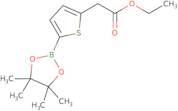 5-(4,4,5,5-Tetramethyl-1,3,2-dioxaborolan-2-yl)-2-thiopheneacetic acid ethyl ester