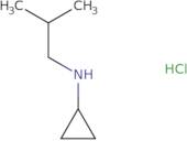 N-Cyclopropyl-N-isobutylamine hydrochloride