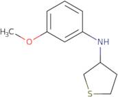 N-(3-Methoxyphenyl)thiolan-3-amine