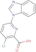 6-(1H-1,3-Benzodiazol-1-yl)-3-chloropyridine-2-carboxylic acid