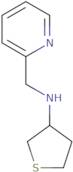 N-(Pyridin-2-ylmethyl)thiolan-3-amine