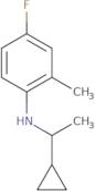 N-(1-Cyclopropylethyl)-4-fluoro-2-methylaniline