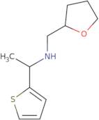 (Oxolan-2-ylmethyl)[1-(thiophen-2-yl)ethyl]amine