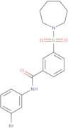 3-(1-azepanylsulfonyl)-N-(3-bromophenyl)benzamide